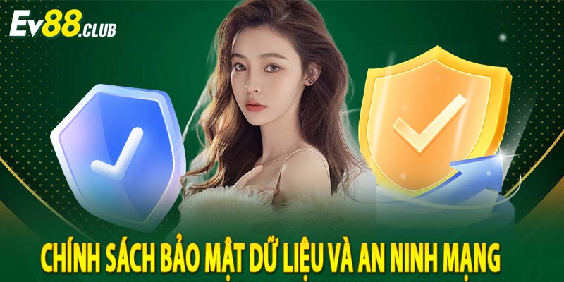Chính sách bảo mật dữ liệu và an ninh mạng